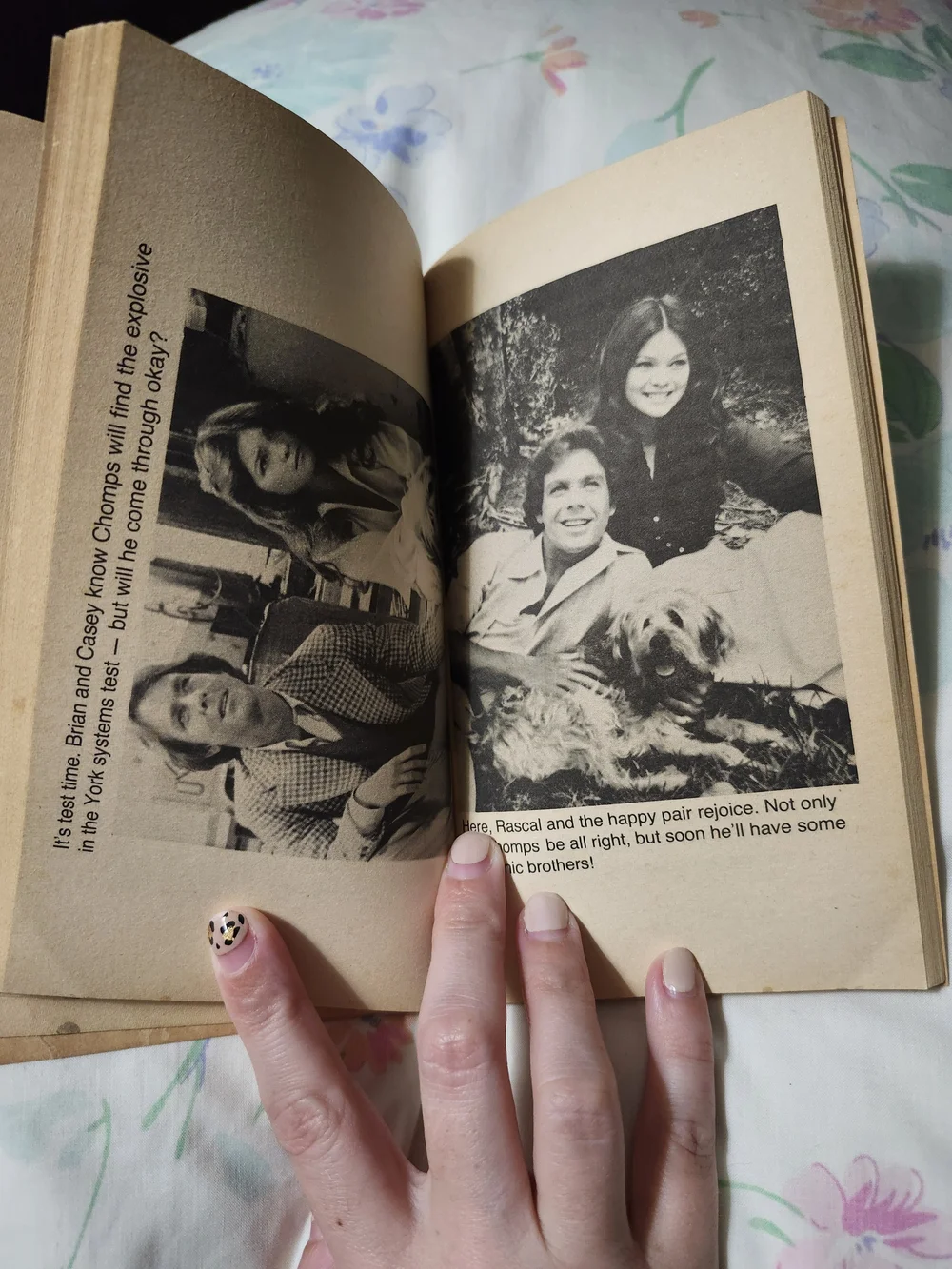 Vintage 1979 